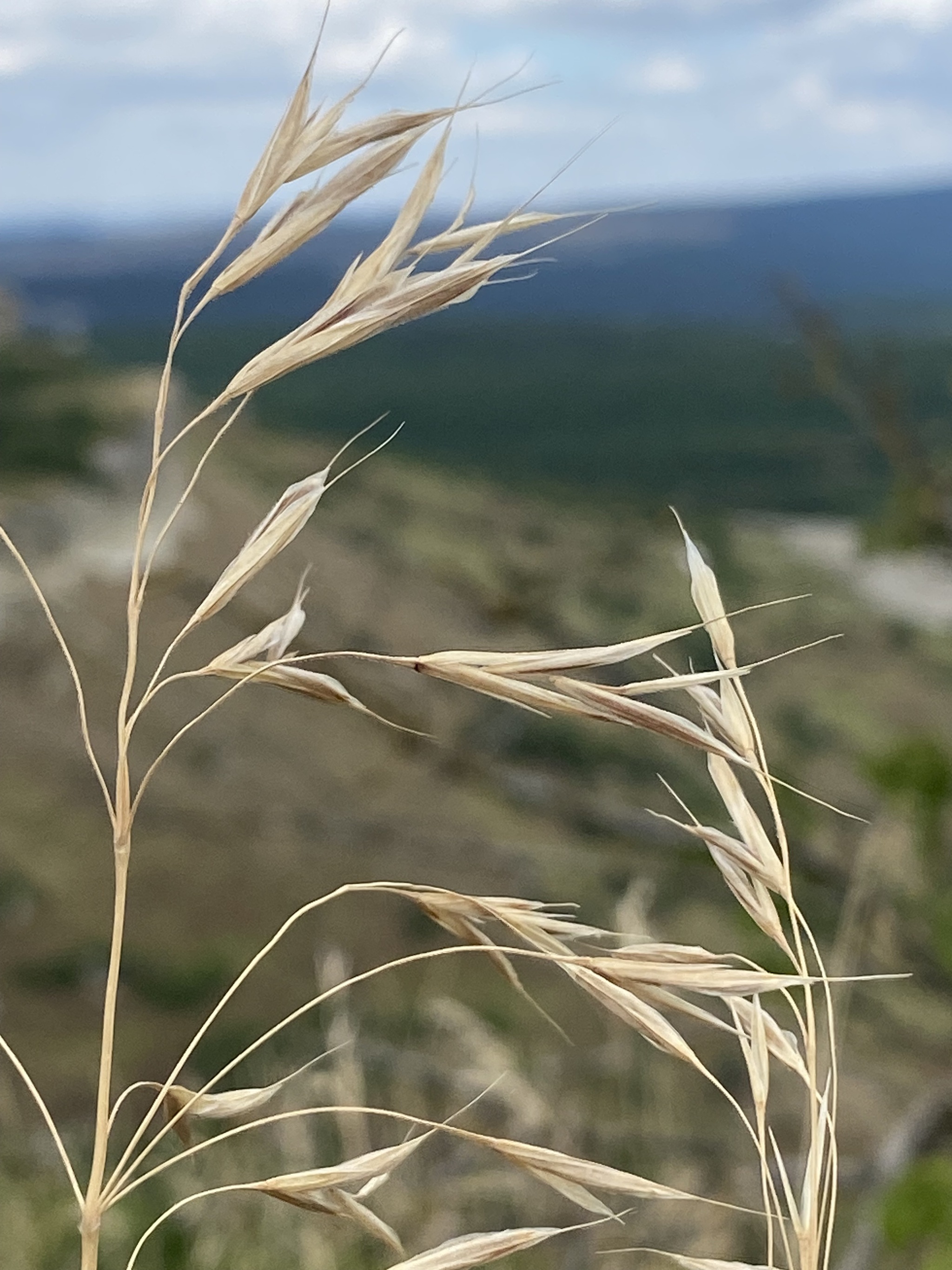 Two months of summer flew by too quickly, didn't they? - My, Crimea, Bakhchisarai, Local history, Tourism, The photo, Travel across Russia, Longpost