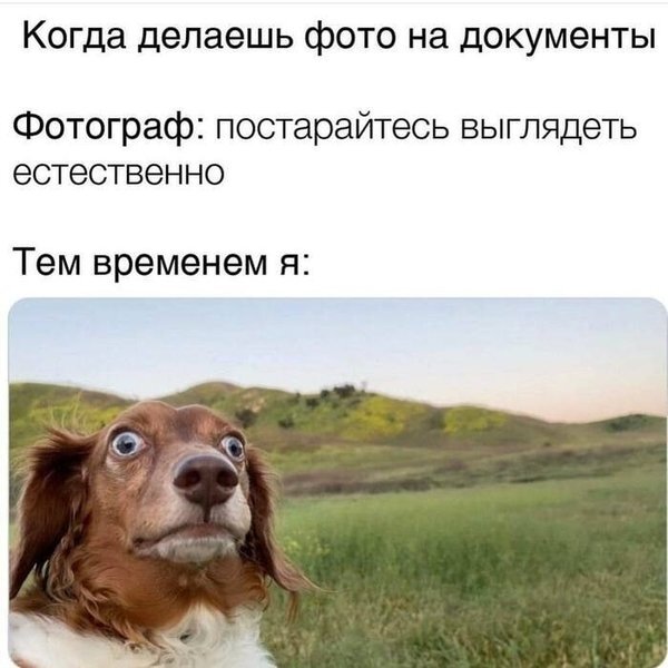 Как выглядеть хорошо на фото на документы. Практические советы