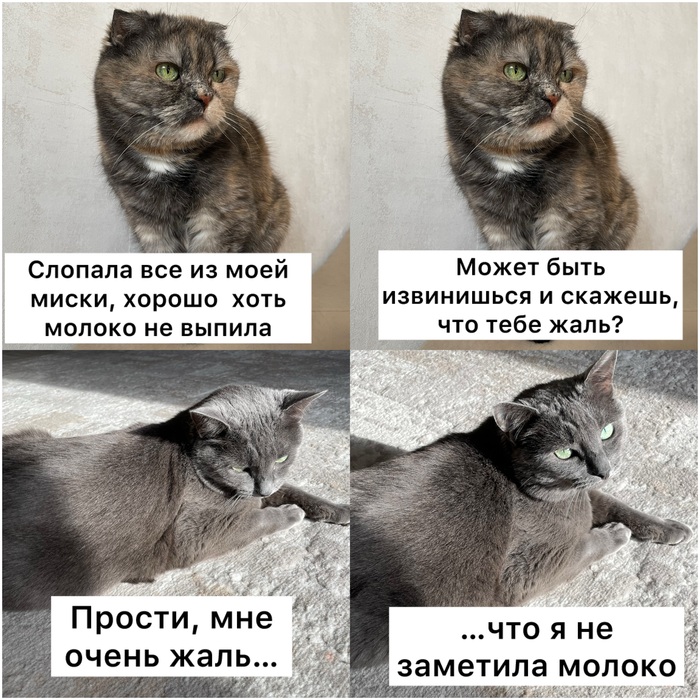 �������� ���� ����