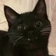 ����� ����� ������ ���� �����������