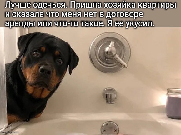 ������ ��� ��� ����