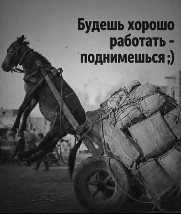 ������ ����, ����� 1-� ������� ����� Dnevnik Lilu!�������� ��� ����������!