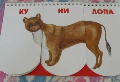 Иллюстрация к комментарию