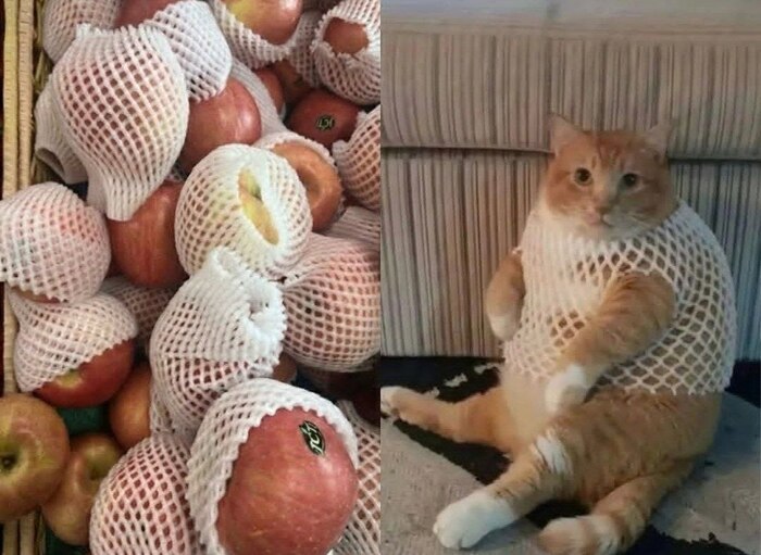Рыжий сорт: сладкий и очень мягкий