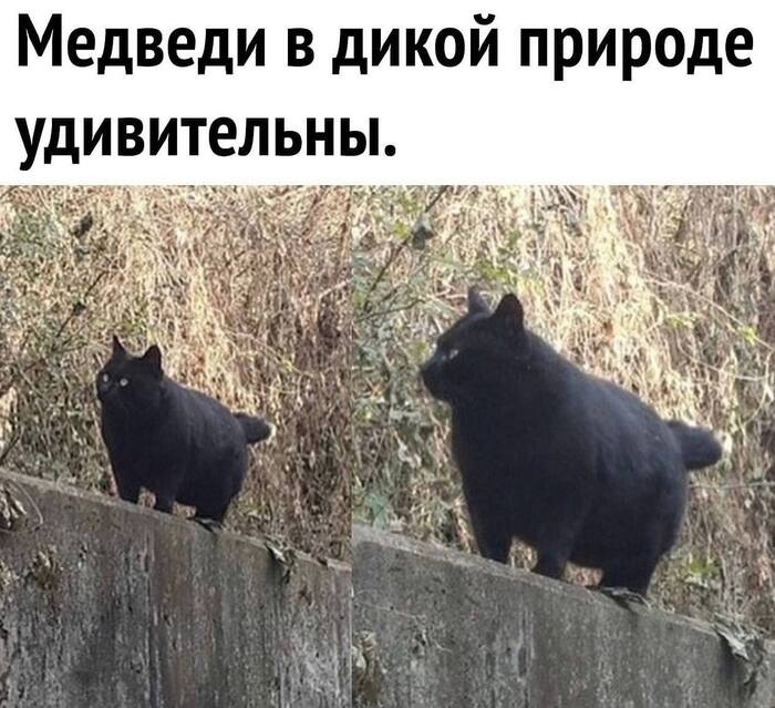 �������� ���� ����� ���� ������� � �������