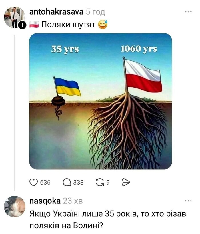 Примерный перевод с мовы: если Украине всего 35 лет, то кто резал поляков на (или в?) Волыни?