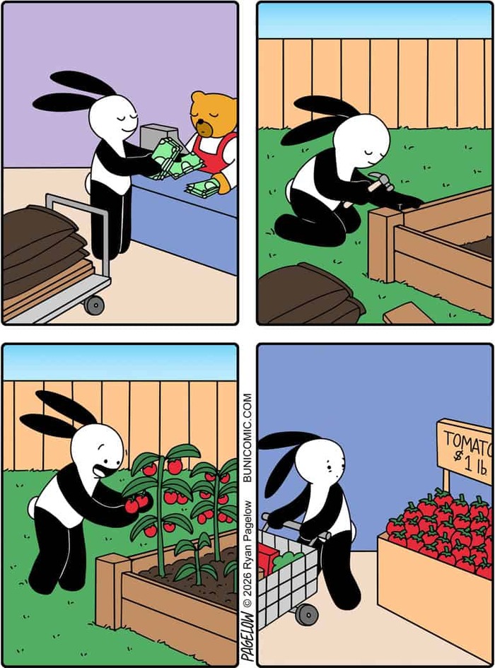 ���� ���
