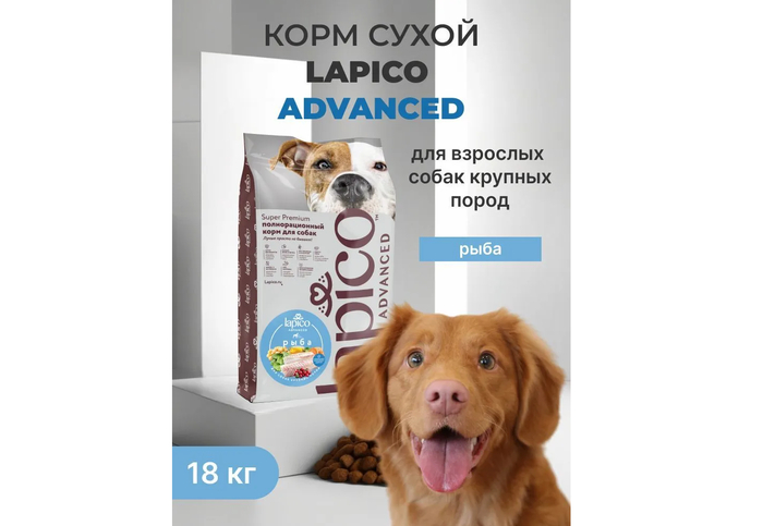 ������������������ ����� ���� Lapico Advanced Maxi �� ���� � �������� ����������� ��������� ������� ������.