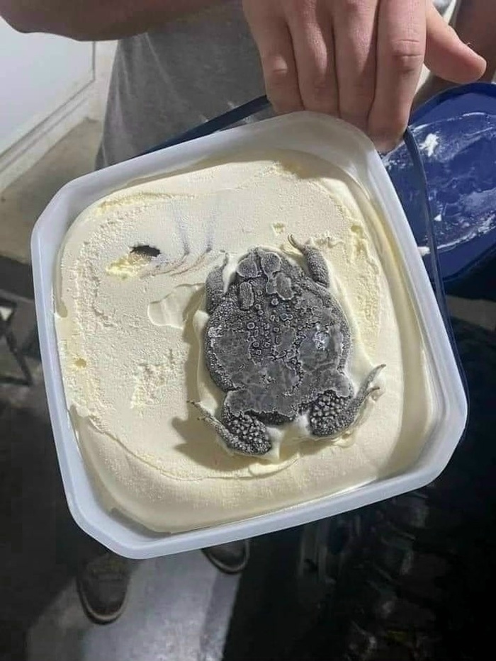 Is it wednesday, my dudes?