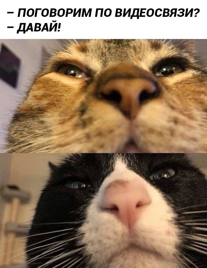 �� ��