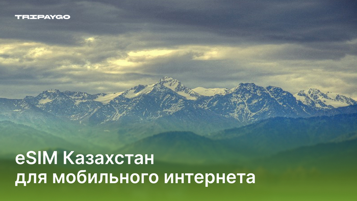 ESIM Казахстан: что выбрать для мобильного интернета на 1–14 дней