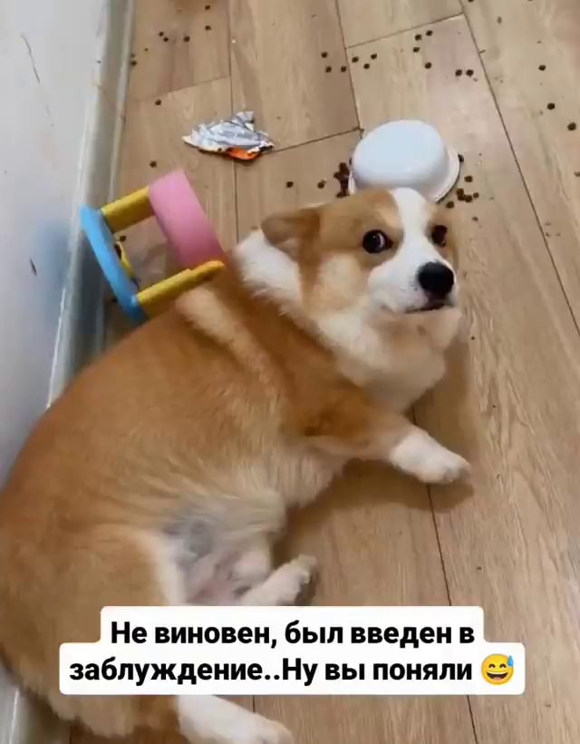 ����� �� ���� ��� ������� � �� �����?�