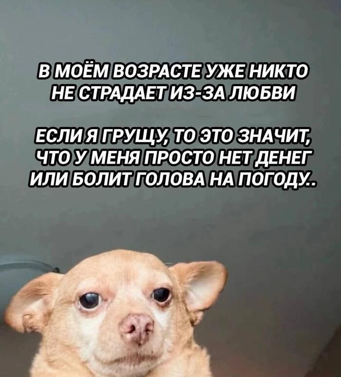 �� � ����� ��� ��������