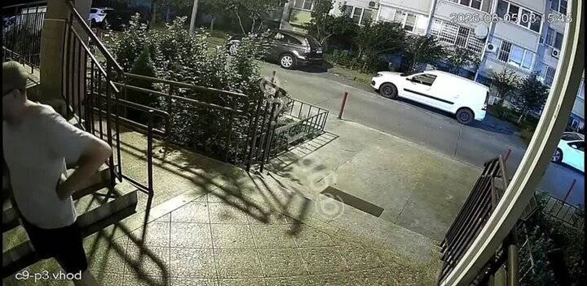 On Nevkipelogo Street, a man staged a strange performance right next to a children's playground. - Troubled neighbors, Joke, Video, Video VK, Short videos, Mat