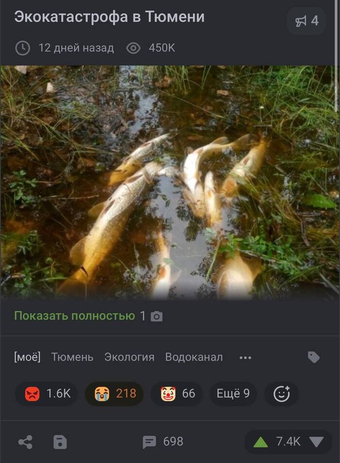 Друзья, мой пост о ситуации в Тюмени снесен!
