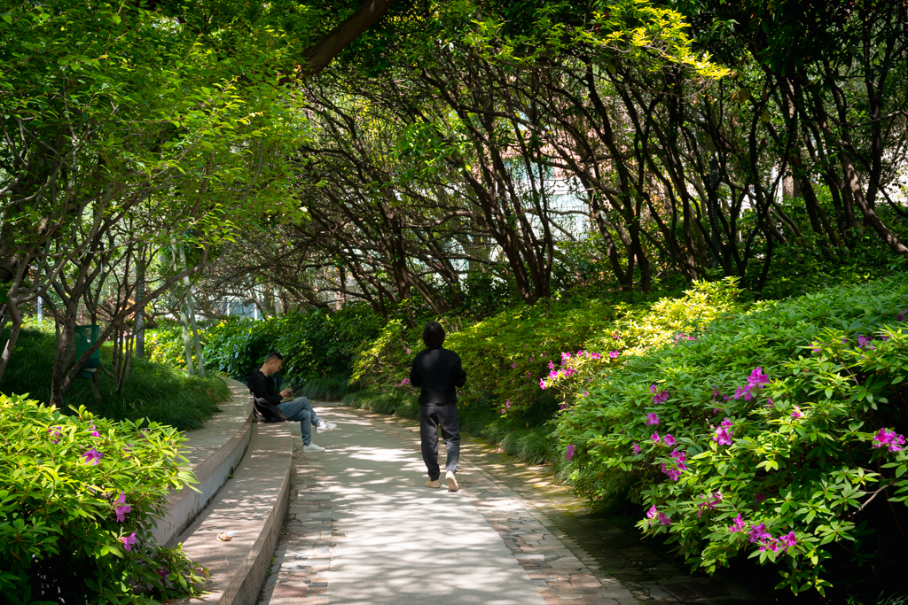 Garden city - Series Travel notes China, My, Travels, China, Asia, Around the world, Longpost