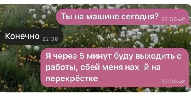 Подборка слегка черного юмора (немножко совсем) - Юмор, Черный юмор, Подборка, Скриншот, Комментарии, Мат, Зашакалено, Картинка с текстом