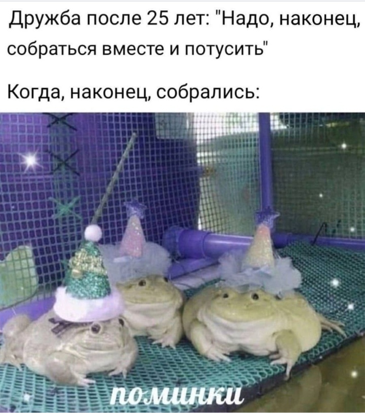 Подборка слегка черного юмора (немножко совсем) - Юмор, Черный юмор, Подборка, Скриншот, Комментарии, Мат, Зашакалено, Картинка с текстом