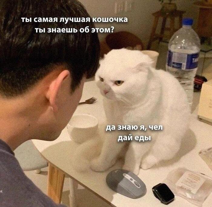 Забалтывает, лишь бы не кормить