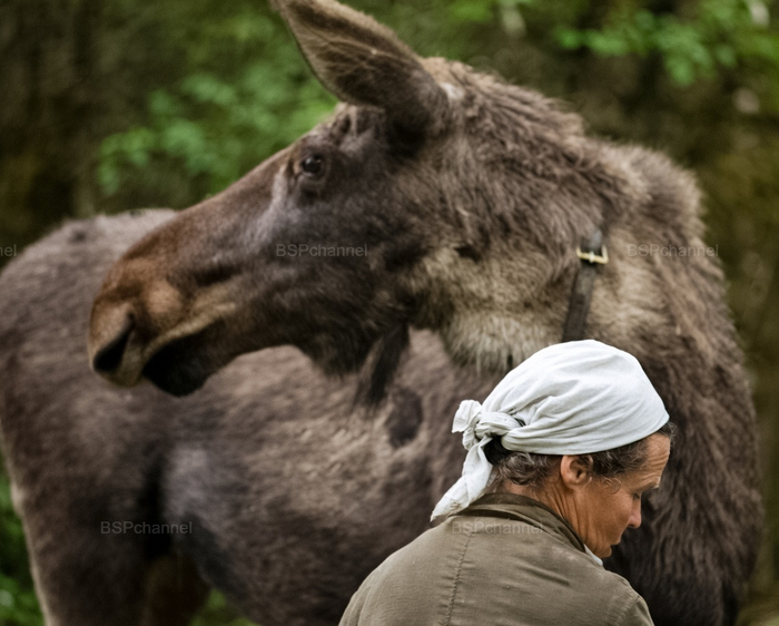 Фотограф: Вячеслав Бобков