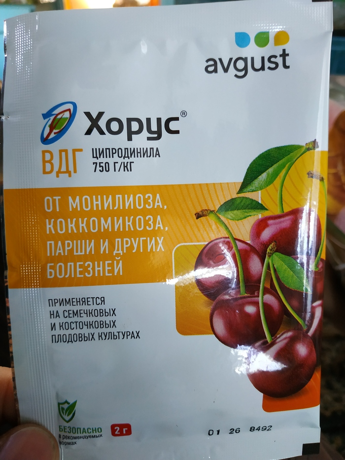 Ересь?