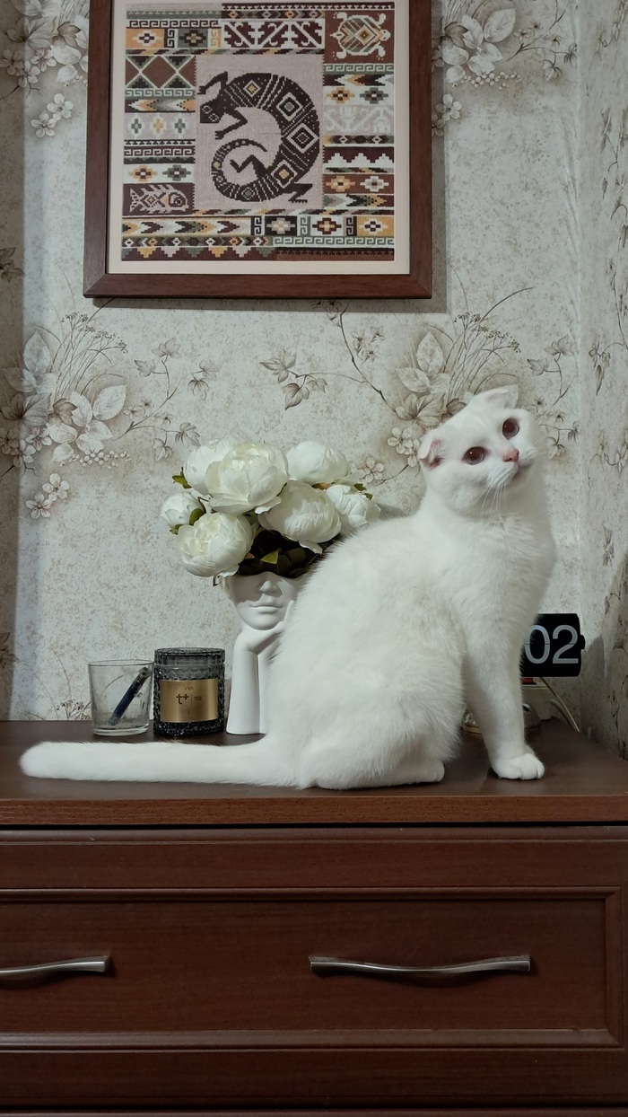 Котофей и моя вышивка