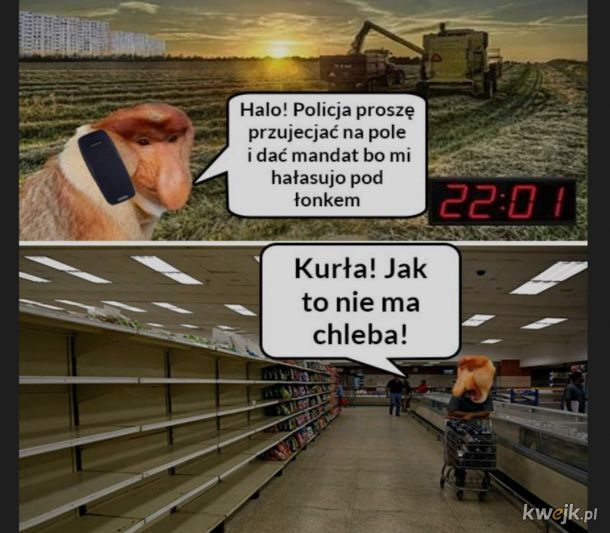 Полиция! Приезжайте на поле иоштрафуйте за шум! Как так хлеба нет!