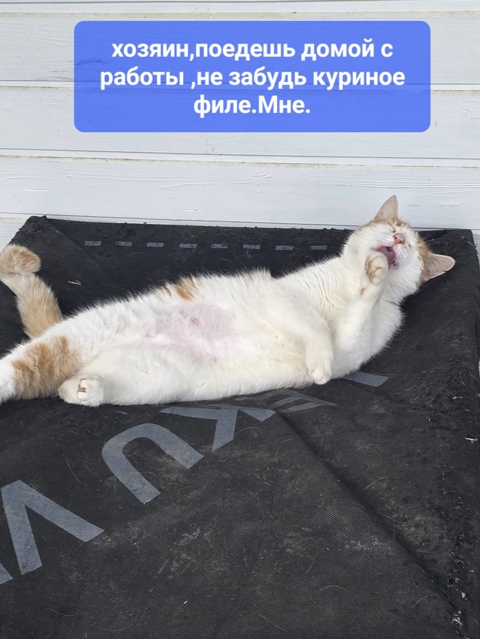 ������