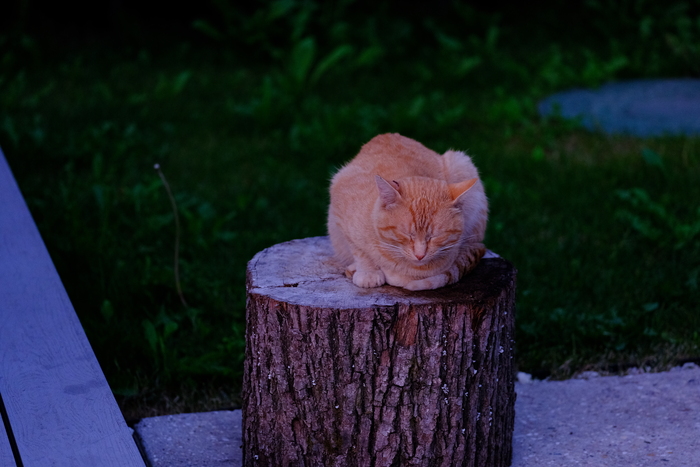 ������ �� Fujifilm GFX50S II + �������� Fujinon 120 mm