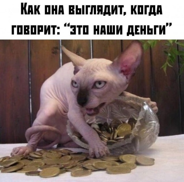 Жадность