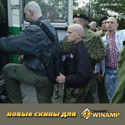 Ответ kbnikto в «Winamp - легендарный музыкальный плеер из "нулевых". Все любили менять на нём скины»
