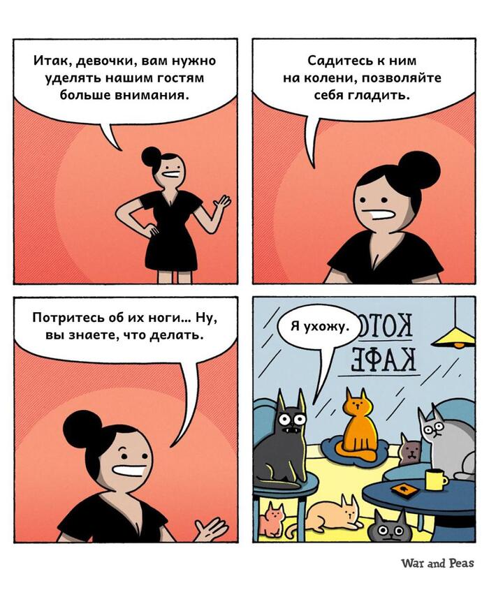 �������� )