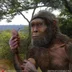 Homo.Habilis
