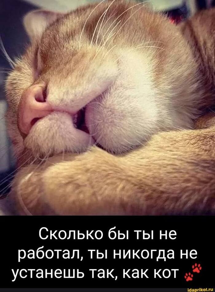 Что-то я снова притомился ...