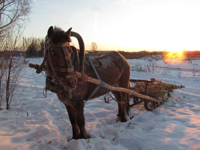 Юношеская непосредственность