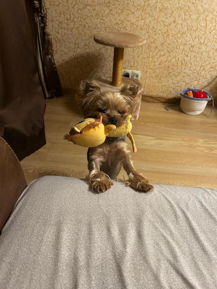 Нужна помощь