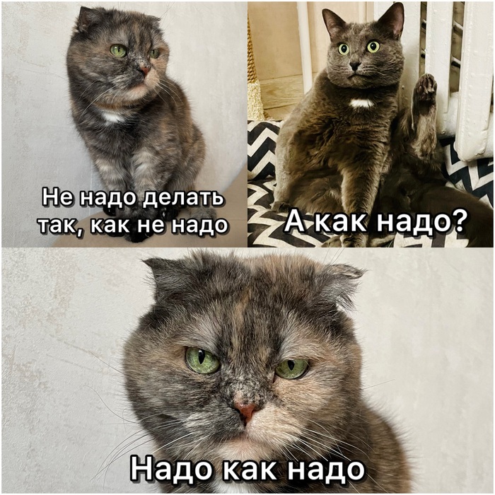 �������? ��� ��� ��� ���������?