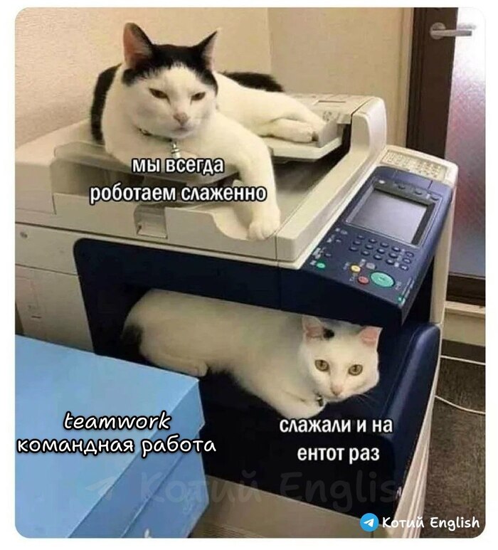 Слаженная работа