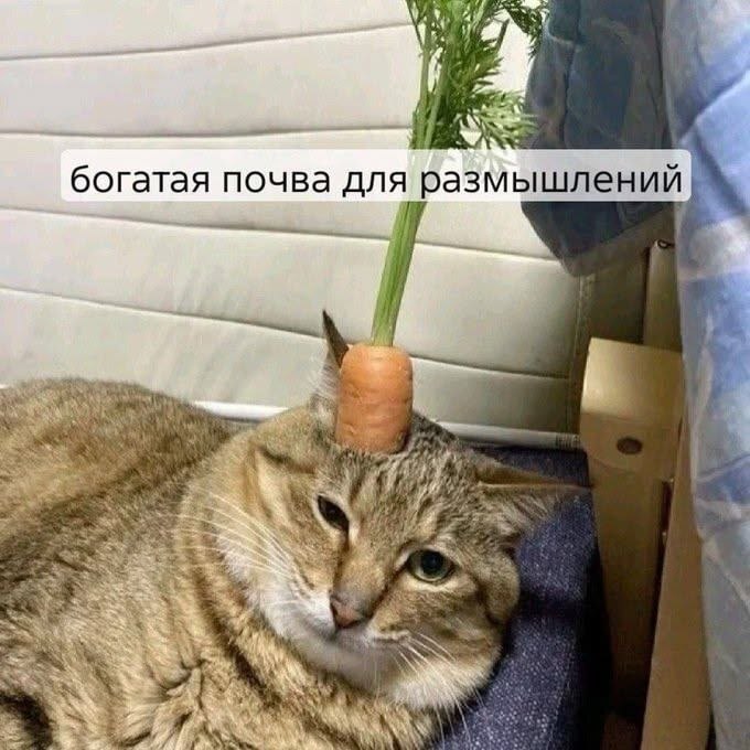 И почва почему-то нервничает