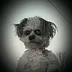 user10931207