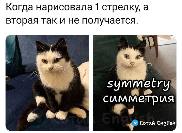 ���� ������ ����������