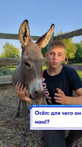 � �������������...