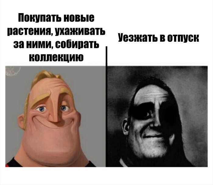 ������� ����������