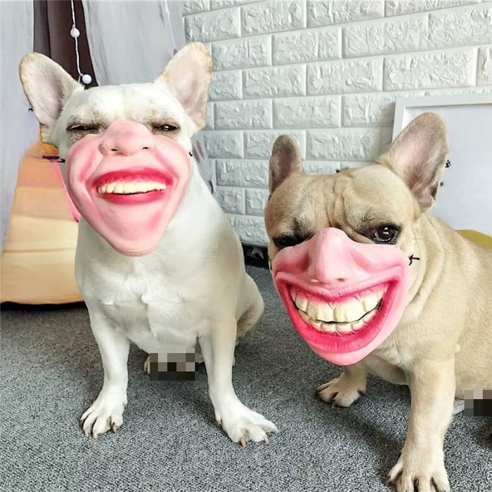 ����������� ����� ���� ������ �����)�