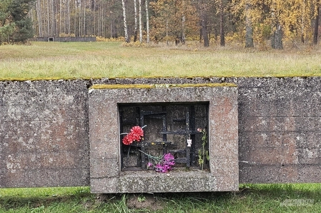 ����: <a href="https://pikabu.ru/story/skazhut_massazh_tam_byil_solyariy_kak_v_latvii_vrut_o_kontslagere_salaspils_14247328?u=https%3A%2F%2Faif.ru%2F&t=%D0%90%D0%B8%D0%A4&h=f5982b8f2d6f8c417b8f18af99b707f0561b0035" title="https://aif.ru/" target="_blank" rel="nofollow noopener">���</a>/ ������� �����
