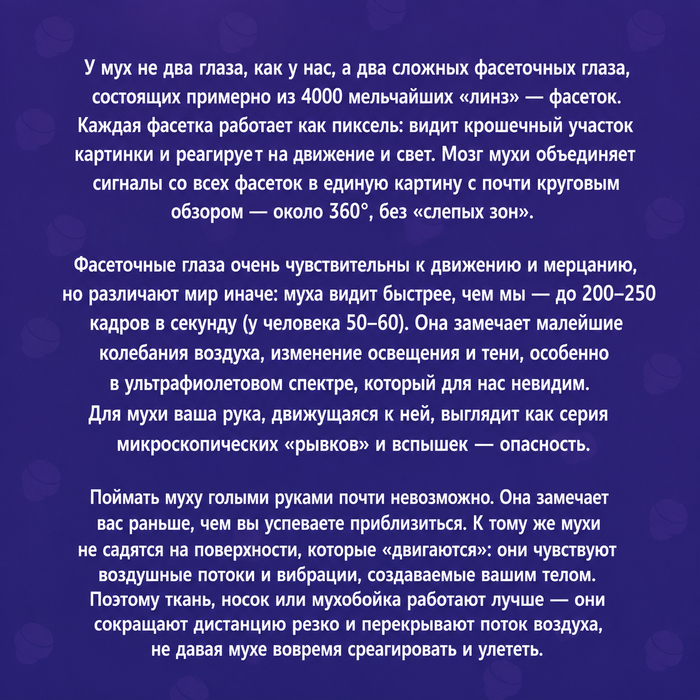 Мухи - самые раздражающие насекомые!
