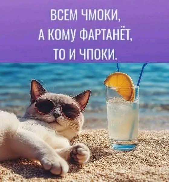 Киса не спиздит