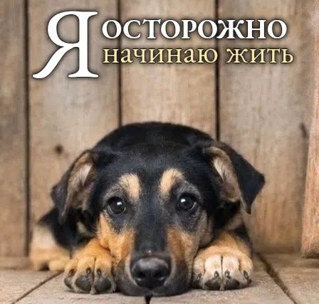 � � � ������� 9 �������