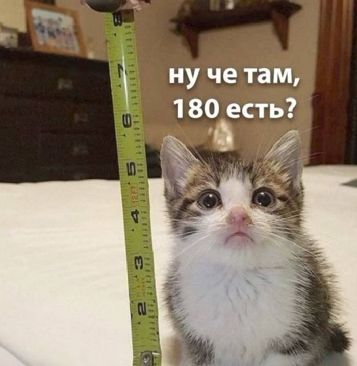 Очаровательная маленькость)