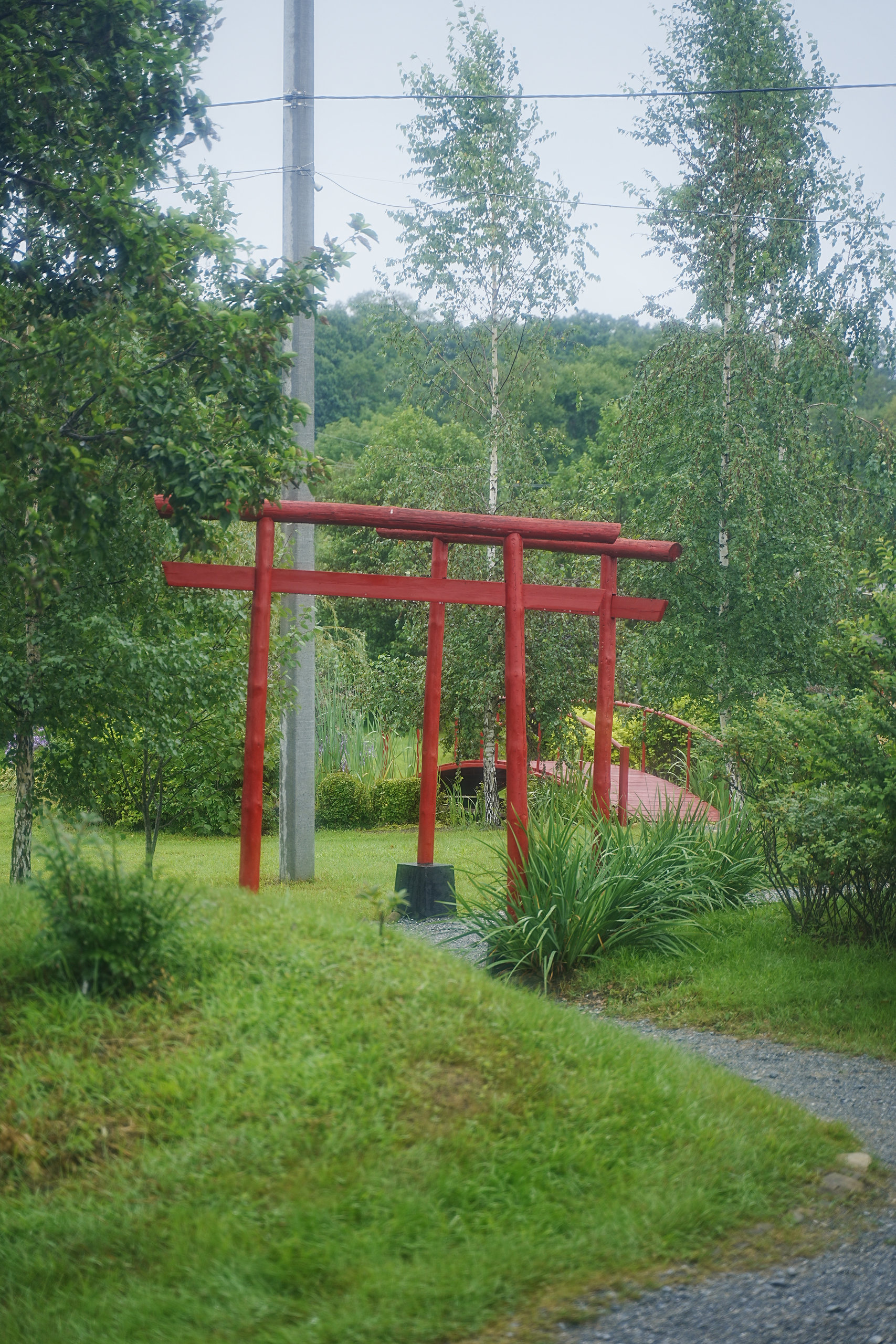 Japanese gardens near Nakhodka, morning after rain - My, Primorsky Krai, Photographer, City Nakhodka, Japanese Garden, Kappa, Spider, Longpost
